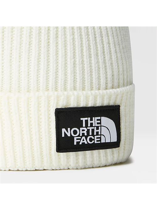 tnf logo box beanie THE NORTH FACE | NF0A3FN3N3N1